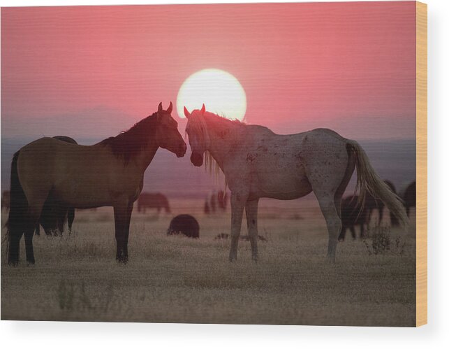 Wild Horse Wood Print featuring the photograph Wild Horse Sunset by Wesley Aston