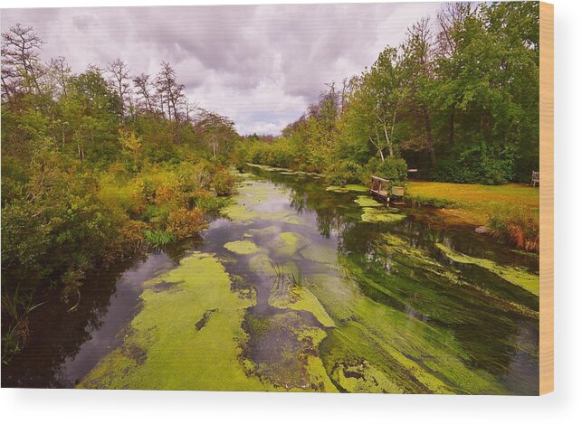 Featured Wood Print featuring the photograph Wilderness Creek in the Autumn Woods by Stacie Siemsen