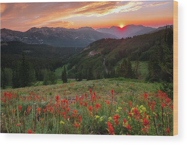 Summer Wood Print featuring the photograph Wildflowers at Guardsmans Pass by Wasatch Light