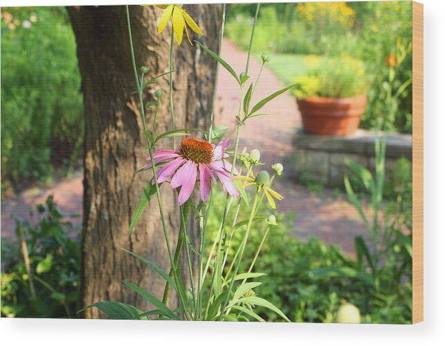 Wildflowers Wood Print featuring the photograph Wildflowers in the Garden by Ellen Tully