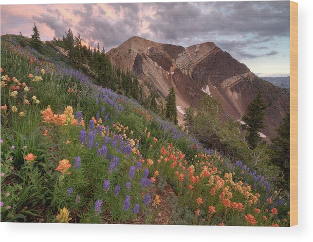 Landscape Wood Print featuring the photograph Wildflowers with Twin Peaks at Sunset by Brett Pelletier