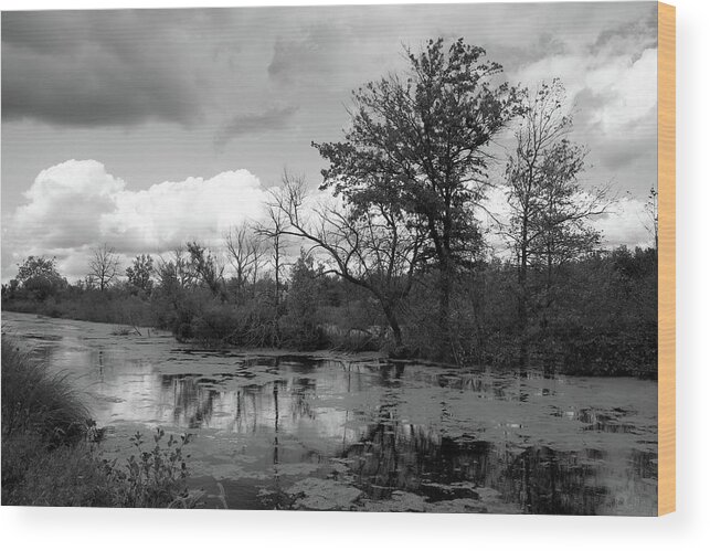 Water Wood Print featuring the photograph Wilds Along the Channel by Scott Kingery