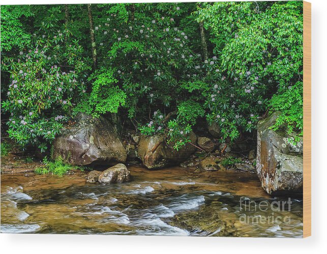 Williams River Wood Print featuring the photograph Williams River and Rhododdendron by Thomas R Fletcher