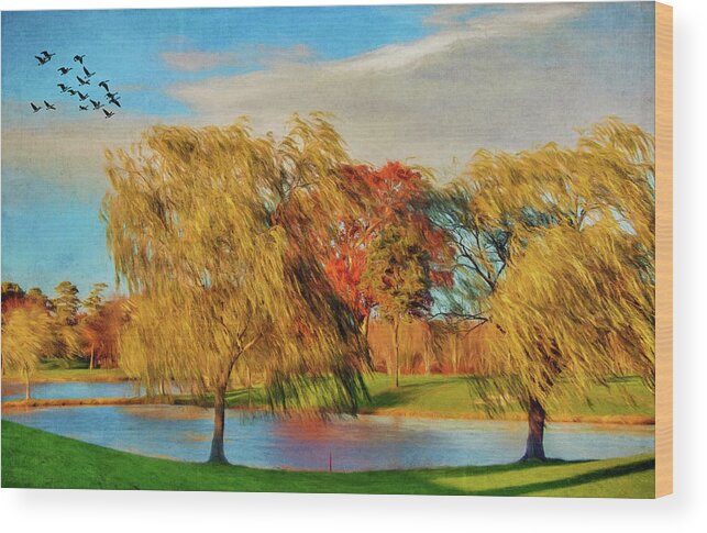 Willows Wood Print featuring the photograph Willows In Autumn by Cathy Kovarik