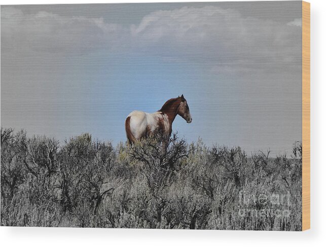 Horse Wood Print featuring the photograph Windblown by Debby Pueschel
