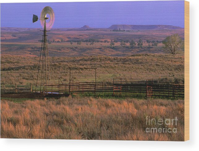 Dave Welling Wood Print featuring the photograph Windmill Cattle Fencing Texas Panhandle by Dave Welling