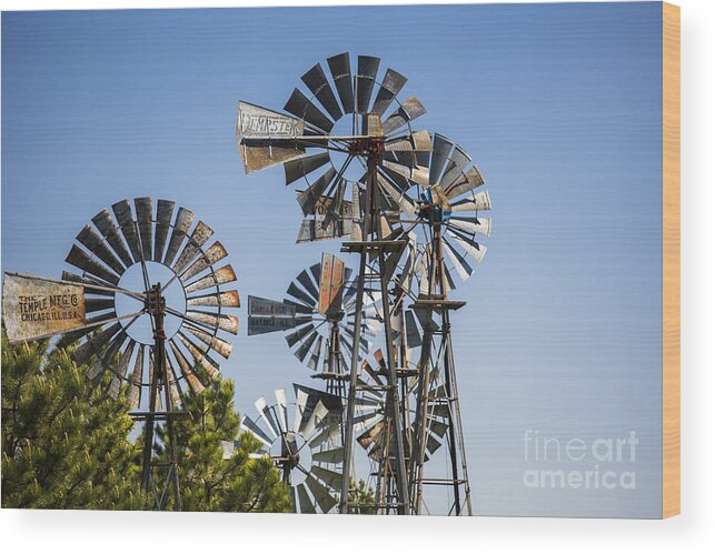 Windmill Wood Print featuring the photograph Windmills by Jim West