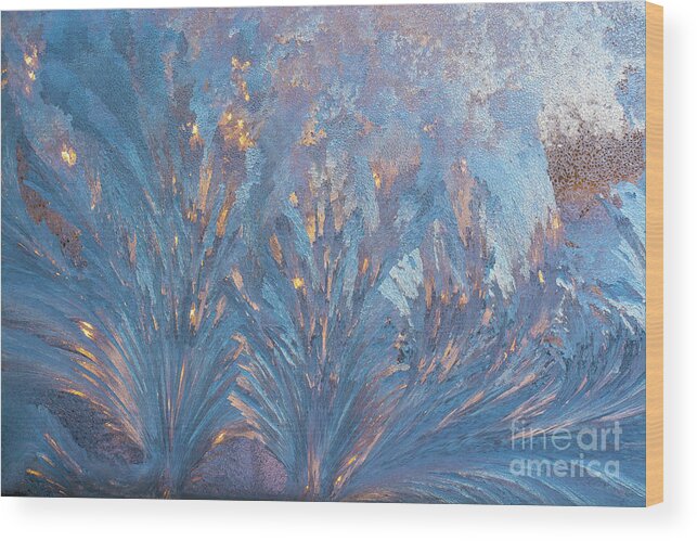 Cheryl Baxter Photography Wood Print featuring the photograph Window Frost At Sunset by Cheryl Baxter