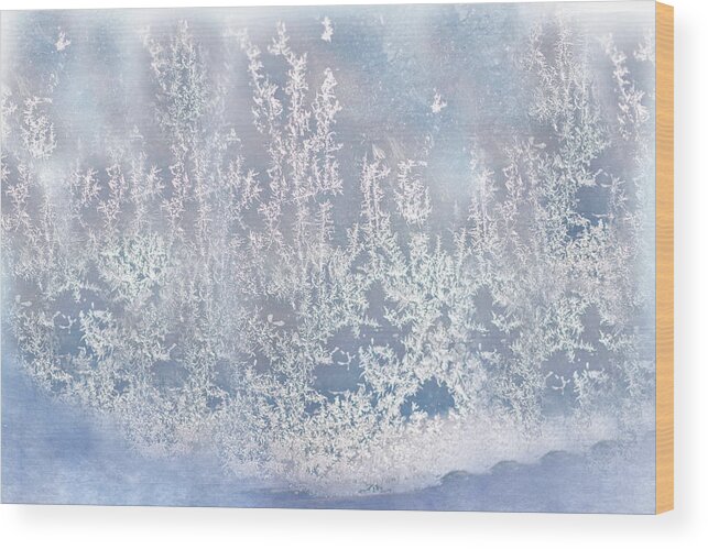 Frost Print Wood Print featuring the photograph Window Frost Print by Gwen Gibson