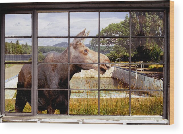 Moose Wood Print featuring the photograph Window - Moosehead Lake by Peter J Sucy
