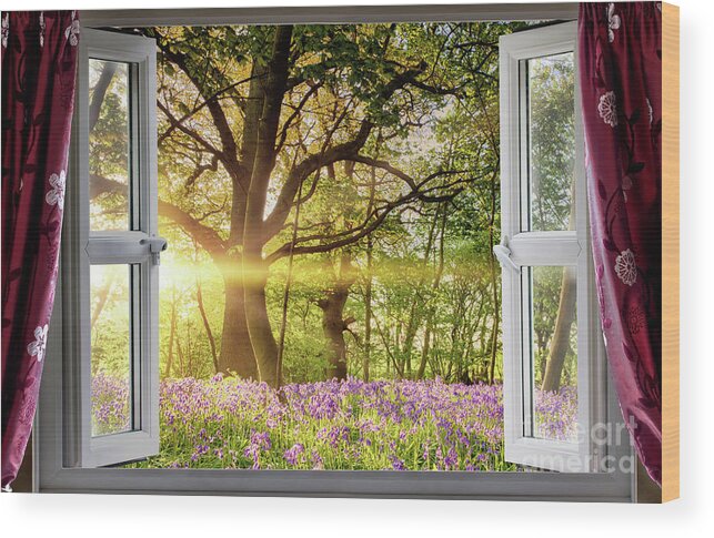 Window Wood Print featuring the photograph Window open onto bluebell forest sunrise by Simon Bratt