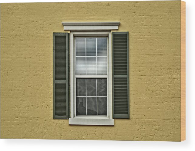 Home Minimalism Wood Print featuring the photograph Window Style by Dan Zarate