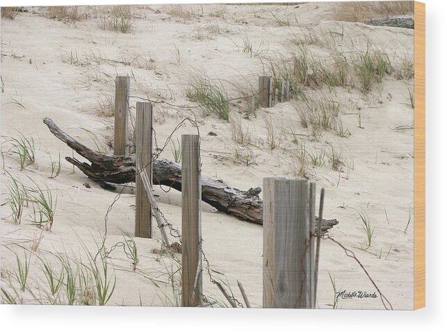 Fence Wood Print featuring the photograph Windswept Beach Fence Cape Cod Massachusetts by Michelle Constantine