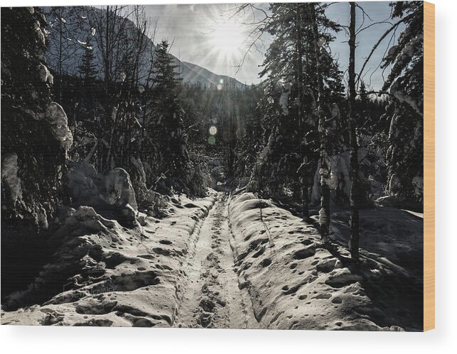 Alaska Wood Print featuring the photograph Windy Day by Fred Denner