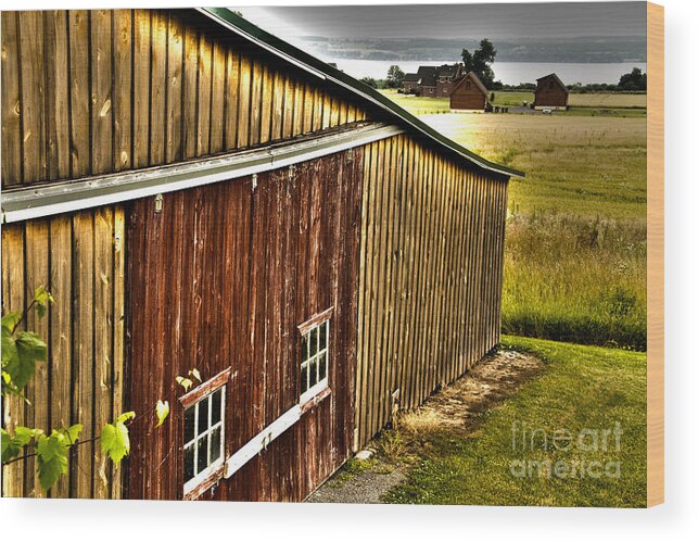 Wine Wood Print featuring the photograph Wine Barn by William Norton