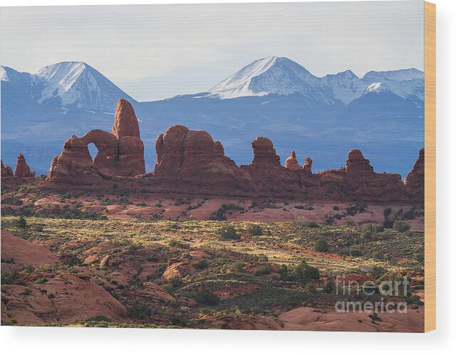 Utah Wood Print featuring the photograph Wing Window by Jim Garrison