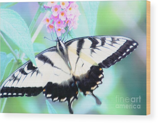 Butterfly Wood Print featuring the photograph Wings by Merle Grenz