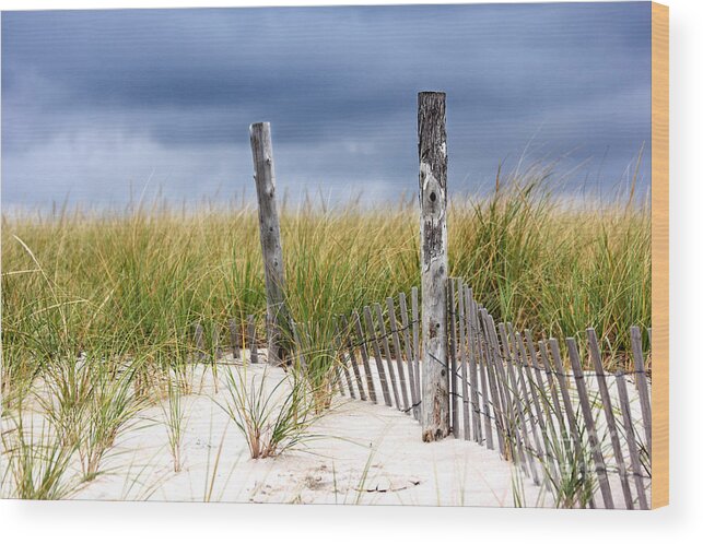 Beach Wood Print featuring the photograph Who knows how long this will last by Dana DiPasquale