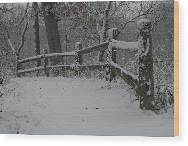 Winter Fence Trail Wood Print featuring the photograph Winter Fence Trail H by Dylan Punke