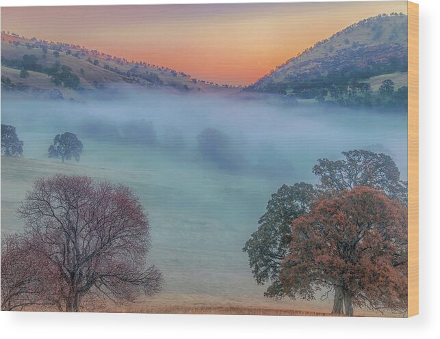 Landscape Wood Print featuring the photograph Winter Fog at Sunrise by Marc Crumpler