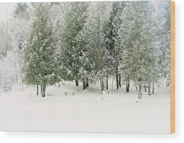 Winter Ice Storm Print Wood Print featuring the photograph Winter Ice Storm Print by Gwen Gibson