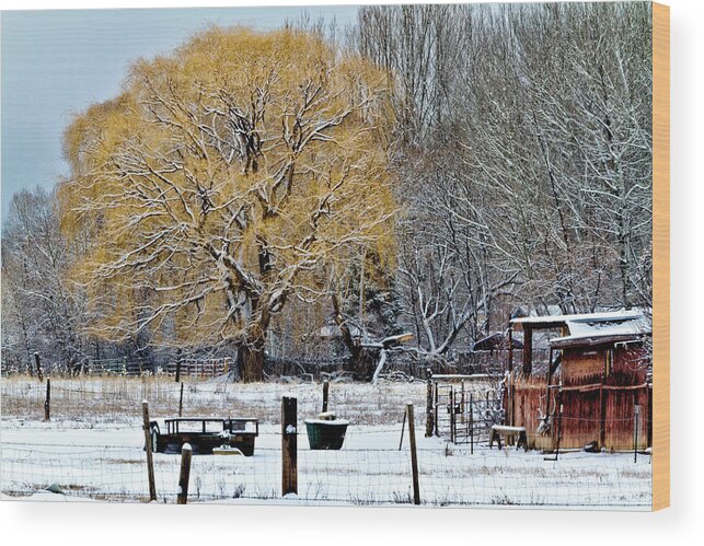 Taos Wood Print featuring the photograph Winter in Taos by Robert Woodward