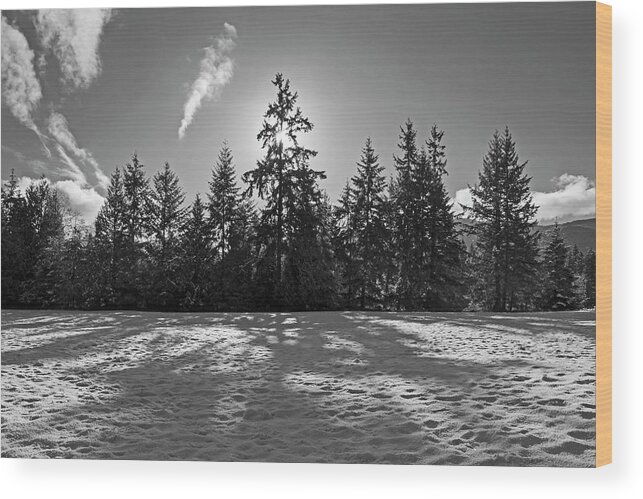 Winter Wood Print featuring the photograph Winter Landscape - 365-317 by Inge Riis McDonald