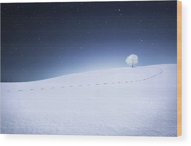 Landscape Wood Print featuring the photograph Winter Landscape by Bess Hamiti