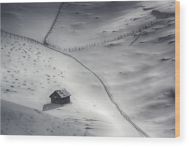Landscape Wood Print featuring the photograph Winter Light by Mihail Dulu