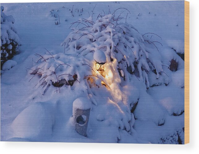 Light Wood Print featuring the photograph Winter light by Peter Ponzio