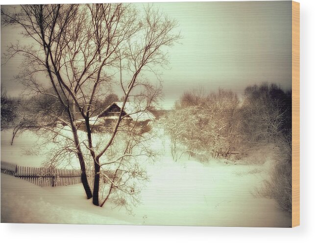 Winter Wood Print featuring the photograph Winter Loneliness by Jenny Rainbow