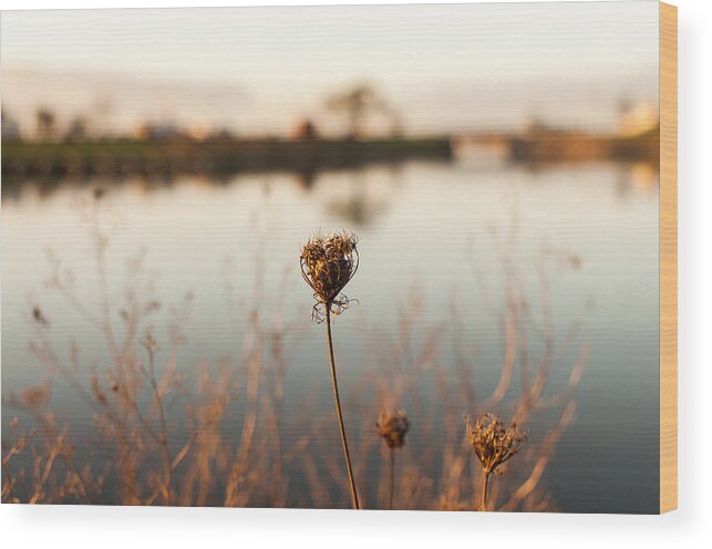 Blur Wood Print featuring the photograph Winter Love by Marcus Karlsson Sall