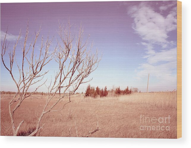 Tree Wood Print featuring the photograph Winter Marshlands by Colleen Kammerer