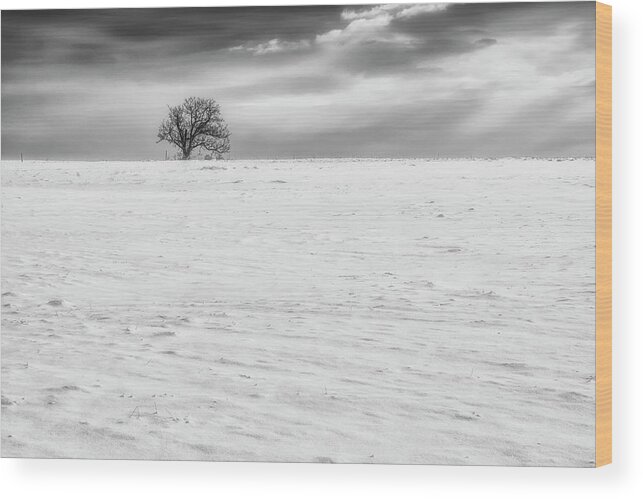 Sky Wood Print featuring the photograph Winter by Plamen Petkov