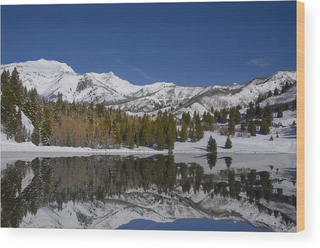 Panoramic Wood Print featuring the photograph Winter Refelctions by Mark Smith