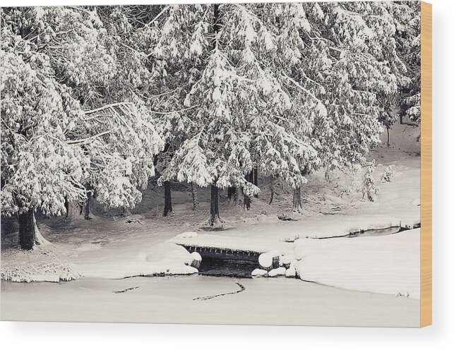 Winter Scenic Print Wood Print featuring the photograph Winter Scene Black and White Print by Gwen Gibson