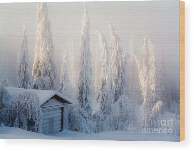 Beautiful Wood Print featuring the photograph Winter scene by Kati Finell