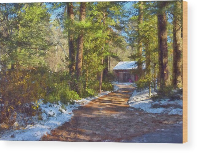 Blue Wood Print featuring the photograph Winter Serenity by Tricia Marchlik