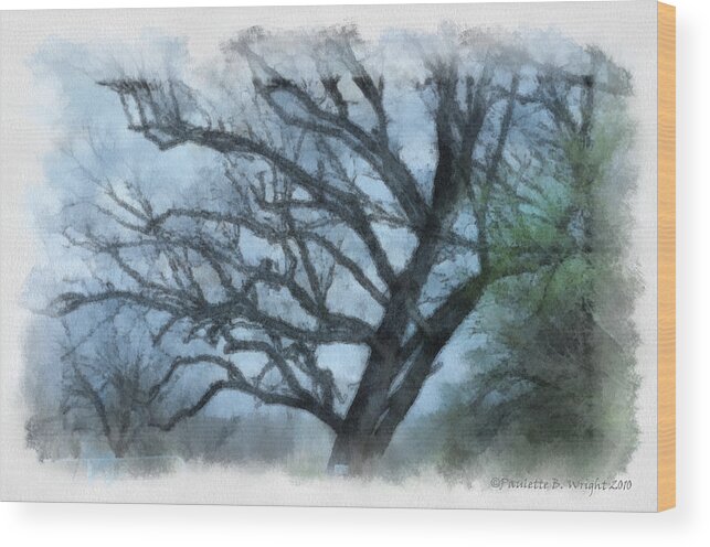 Texas Wood Print featuring the photograph Winter Tree by Paulette B Wright