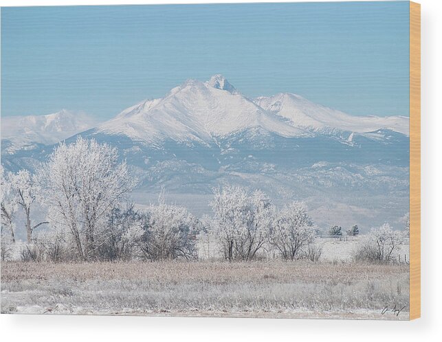 Winter Wood Print featuring the photograph Winter Trees and Longs Peak by Aaron Spong