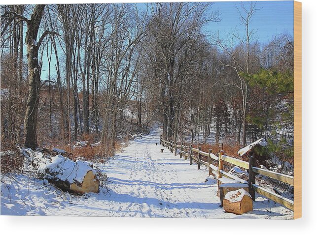 Scenic Wood Print featuring the photograph Winter Walkway by David Rosenthal