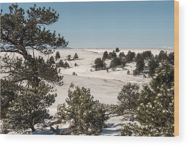 Background Wood Print featuring the photograph Winter Wonder Land by Art Atkins