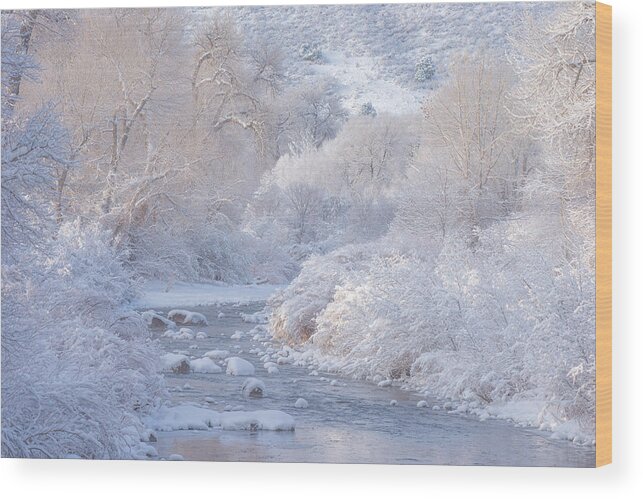Winter Wood Print featuring the photograph Winter Wonderland - Colorado by Darren White