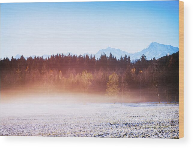 Fog Wood Print featuring the photograph Winter wood with fog by Silvia Ganora