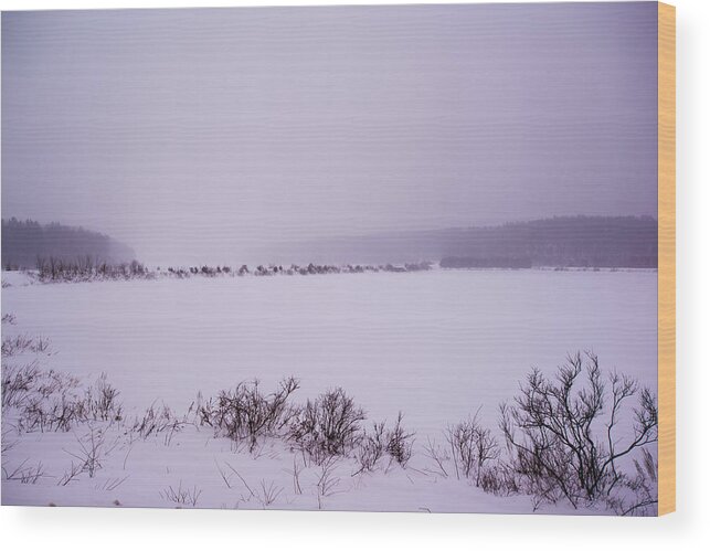 Winter Wood Print featuring the photograph Winter's Desolation by Robert McKay Jones