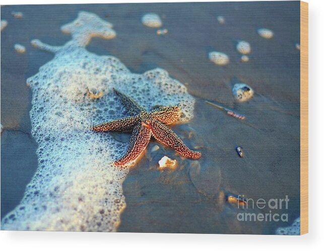 Starfish Wood Print featuring the photograph Wish upon a star by Davids Digits