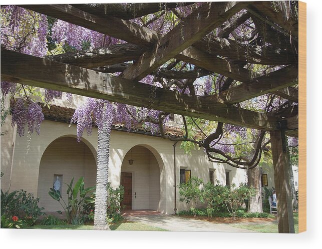 Wisteria Wood Print featuring the photograph Wisteria Arbor by Carolyn Donnell