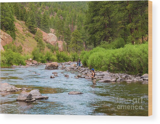 Fishing Wood Print featuring the photograph Woman Fly FIshing on the Platte by Steven Krull