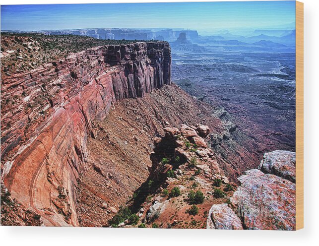 Canyonlands National Park Wood Print featuring the photograph Wonderland in Utah by Norma Warden
