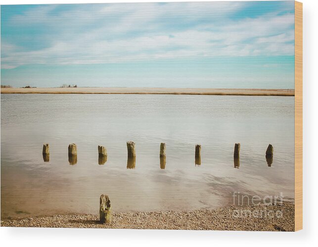 Wood Pilings Wood Print featuring the photograph Wood Pilings in Shallow Waters by Colleen Kammerer